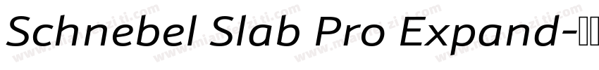 Schnebel Slab Pro Expand字体转换